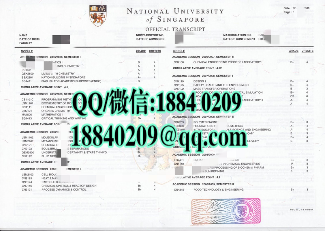 新加坡国立大学成绩单，National University of Singapore transcript