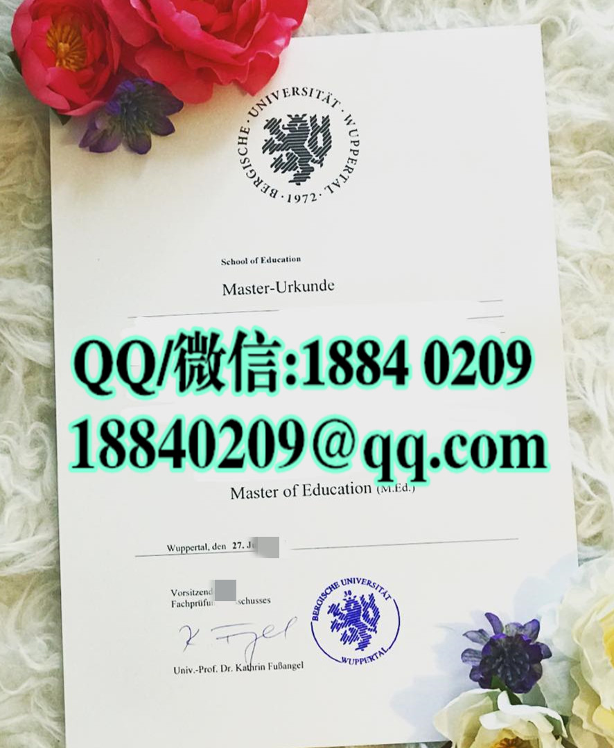 德国伍珀塔尔大学毕业证学位证案例，University of Wuppertal diploma degree