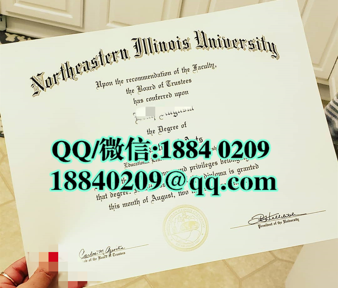 美国东北伊利诺伊大学Northeastern Illinois University毕业证，Northeastern Illinois University d