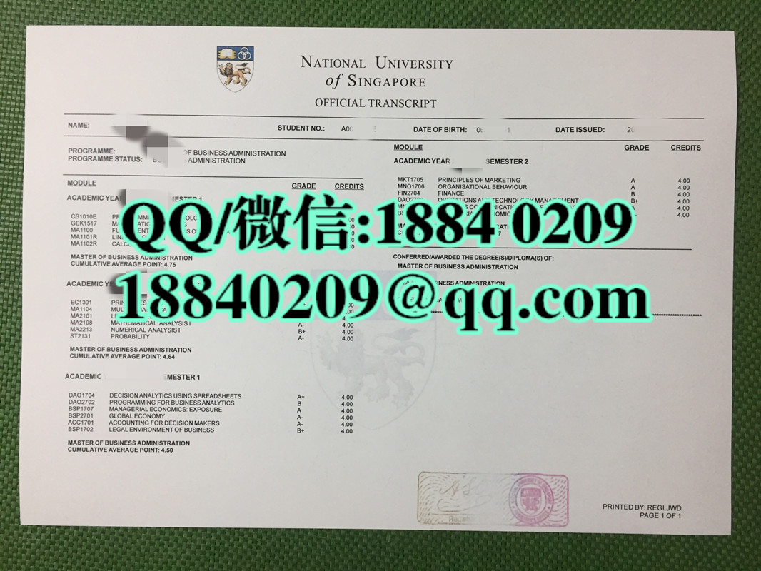 新加坡国立大学成绩单样本，National University of Singapore transcript