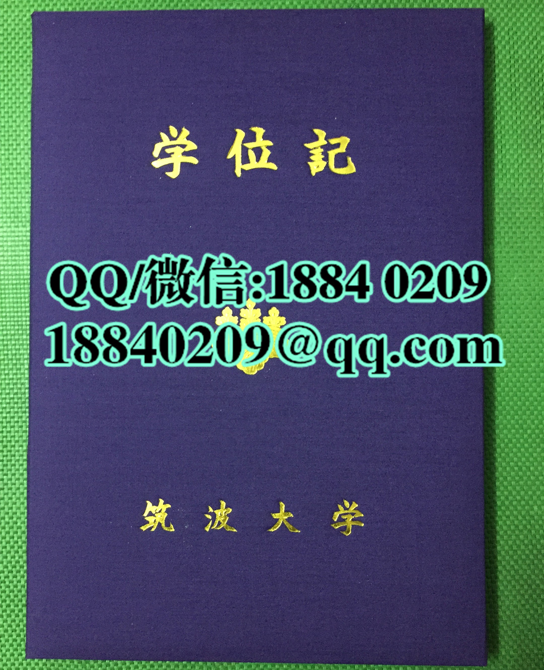 日本筑波大学毕业证外壳_日本筑波大学学位记外壳